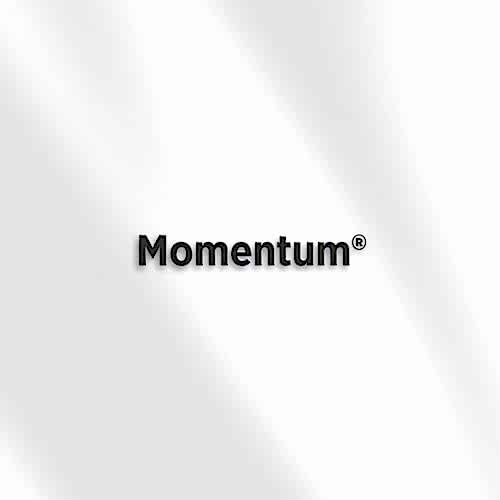 Momentum